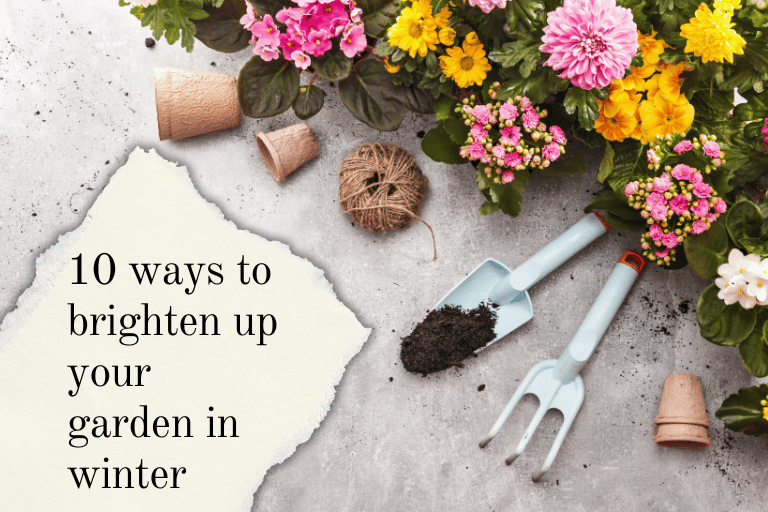10 Ways To Brighten Up Your Garden in Winter